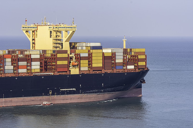 通过哈尔滨把猫寄到英国利兹