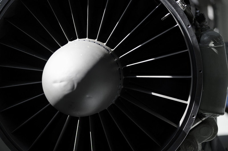 从中国福州将果苗邮寄到英国阿伯丁