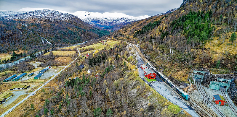 基于香港把枸杞寄到英国雷丁