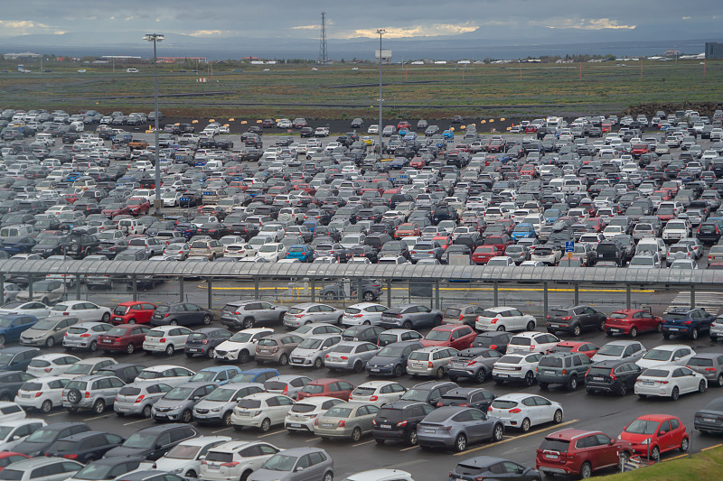 基于中国广州将活体动物寄到新加坡