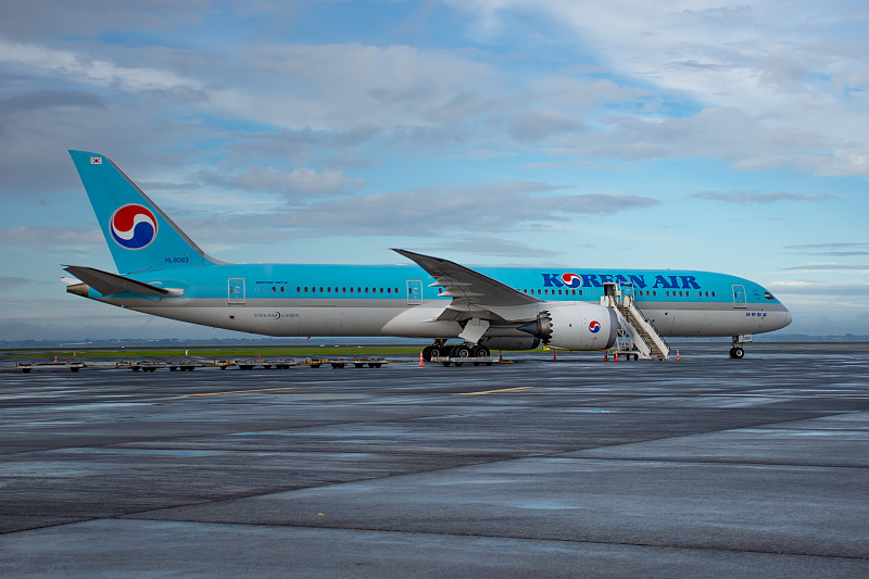 通过中国上海把板蓝根邮寄到新加坡 通过中国上海把板蓝根邮寄到新加坡