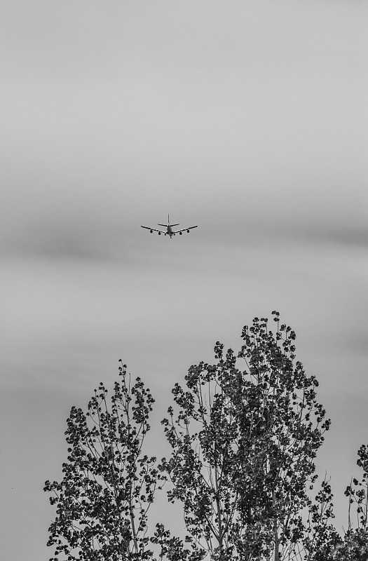 基于中国福州虾米寄到新加坡