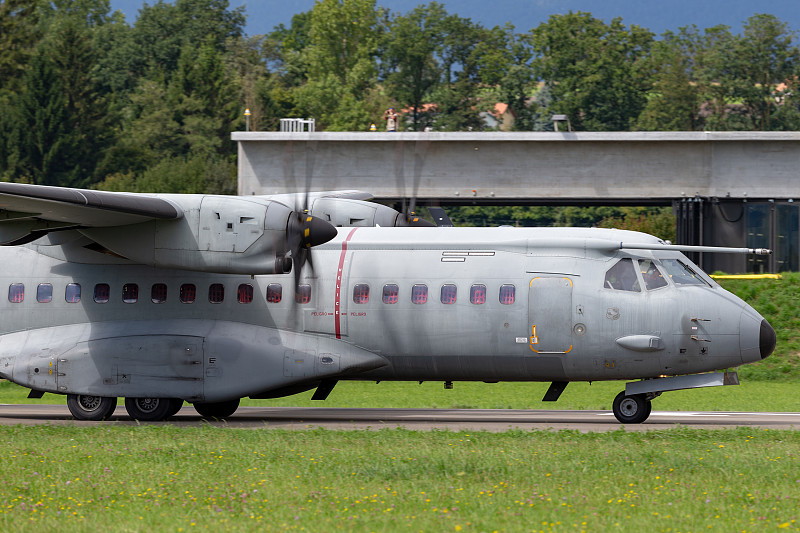 经过苏州杨梅苗寄到新加坡