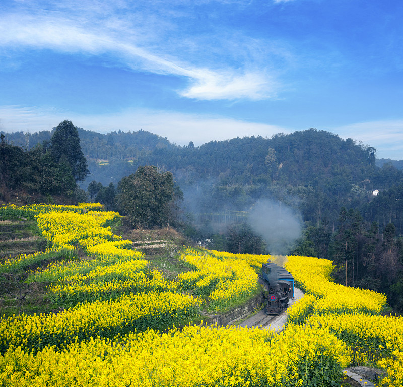 经由中国上海饼干寄到英国蒂赛德
