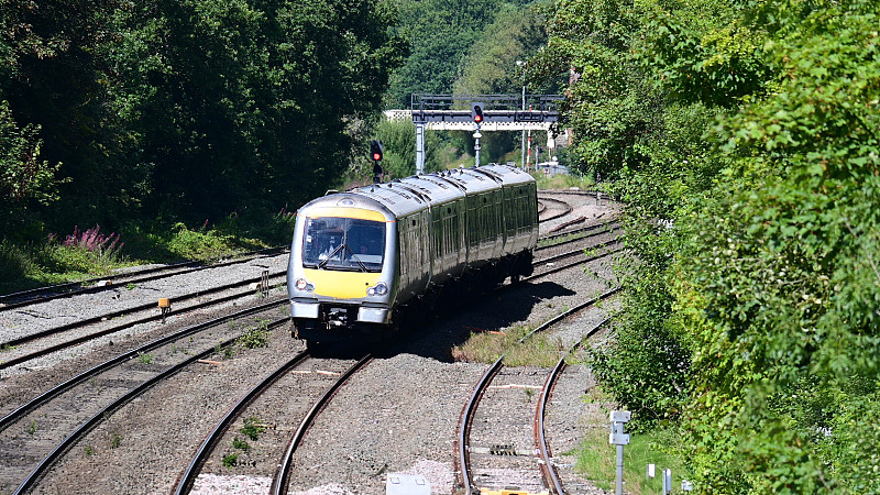 从中国昆明将椰子邮寄到英国邓迪 从中国昆明将椰子邮寄到英国邓迪