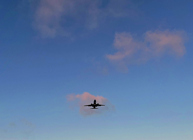 武汉新加坡整柜海运快速专线