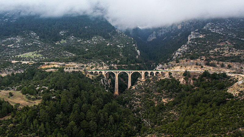 中国东莞到新加坡整柜海运快速专线