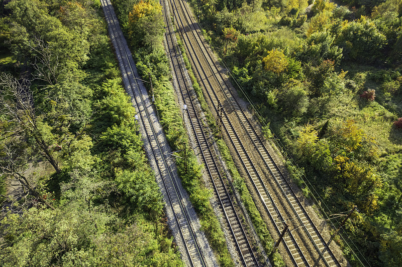 东莞到新加坡整柜海运城市专线