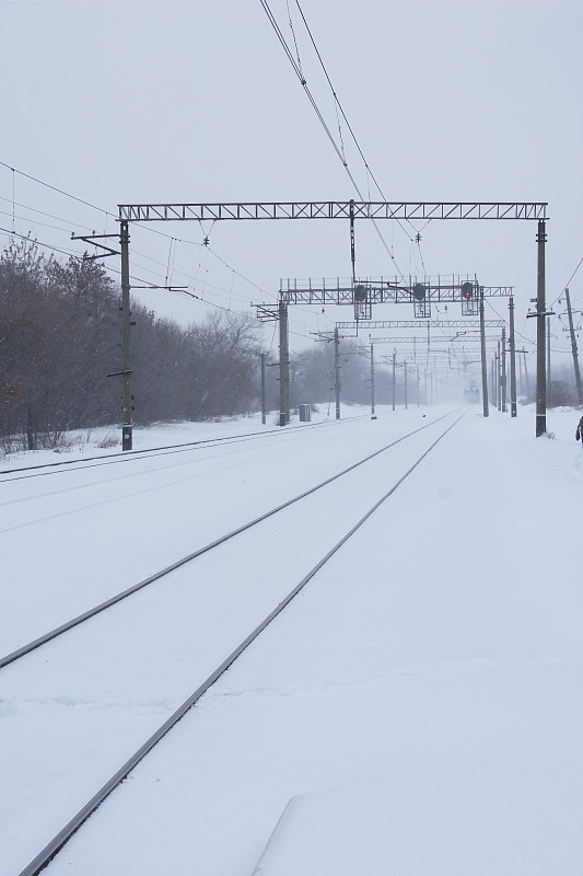 佛山新加坡LCL专线