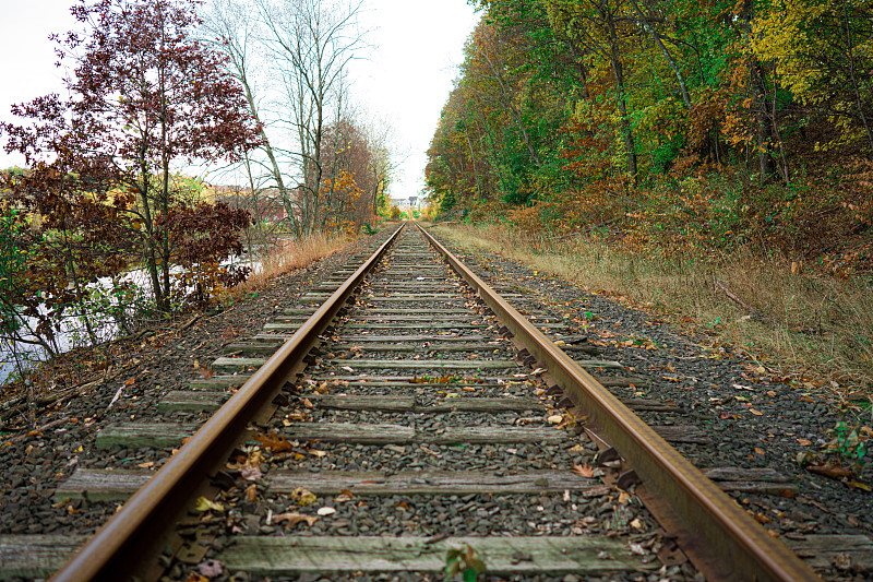 上海新加坡海运卡派专线