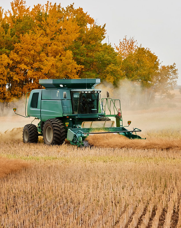 石家庄到新加坡海运派专线