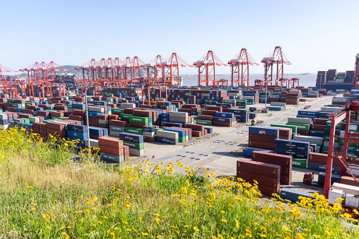 新加坡国际货运代理：为您的全球物流提供专业服务