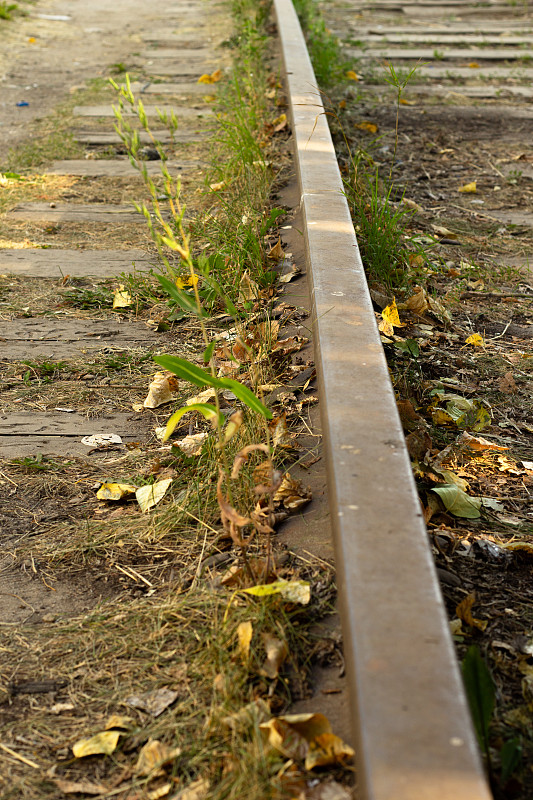 上海霆智国际物流有限公司