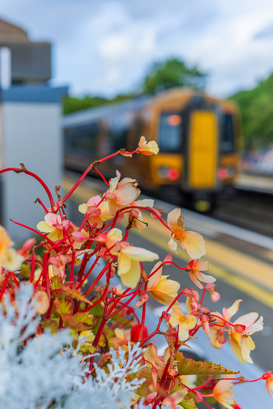 通过深圳将包裹寄到韩国忠州市