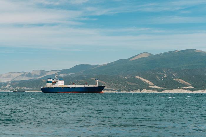 多多国际品牌授权、报关信息详解 多多国际品牌授权、报关信息详解