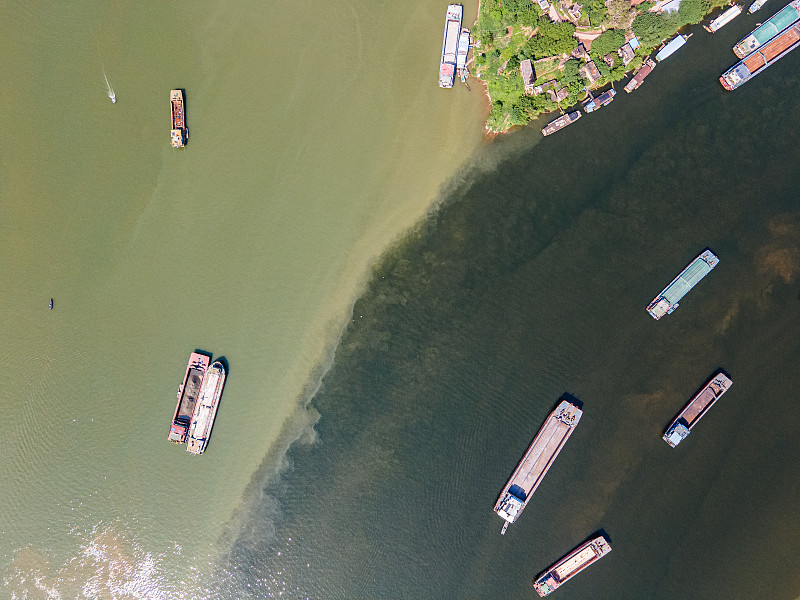 从青岛将杨梅苗邮寄到韩国金泉市 从青岛将杨梅苗邮寄到韩国金泉市