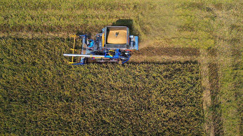 中国长沙抵韩国昌原市EMS快速专线