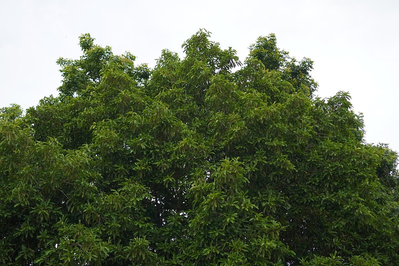 中国乌鲁木齐抵韩国南原市卡航快速专线
