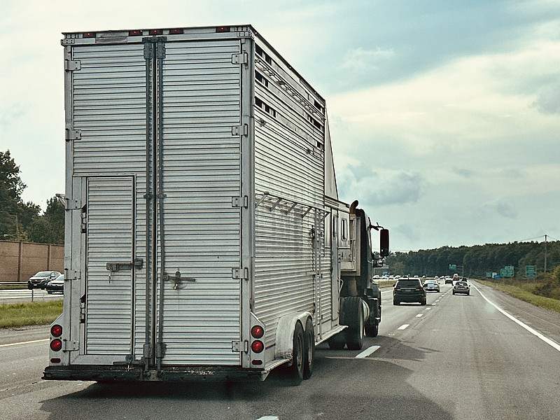 上海抵韩国密阳市整柜海运城市专线