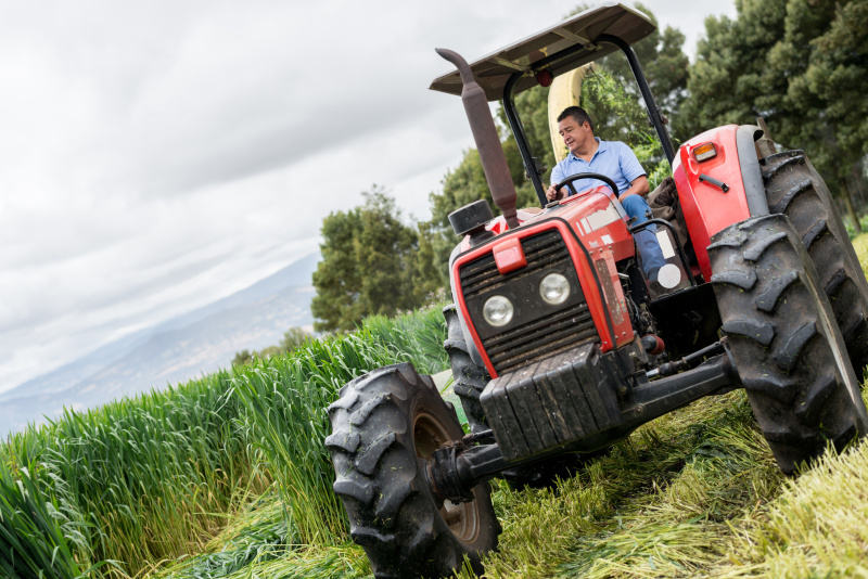 中国深圳韩国抱川市LCL快速专线