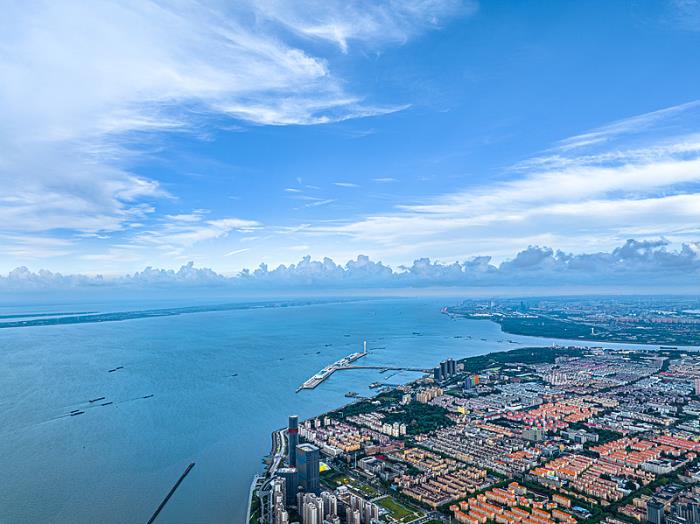 澳德物流查询快递