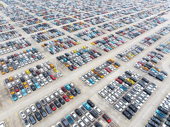 澳洲海运专线低申报后果，被查收怎么办？