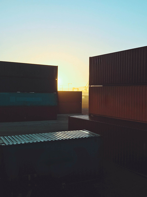 经过中国长春将宠物邮寄到美国迈阿密 经过中国长春将宠物邮寄到美国迈阿密