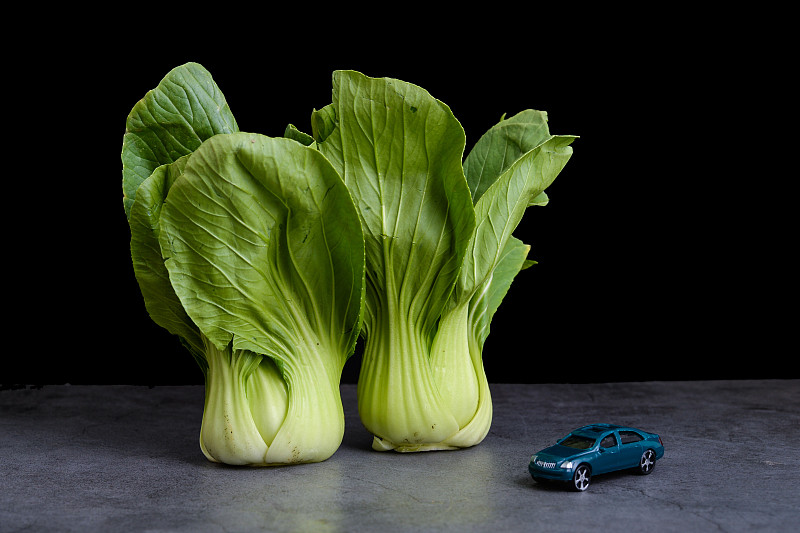 经由中国上海把袋鼠肉邮寄到美国波特兰