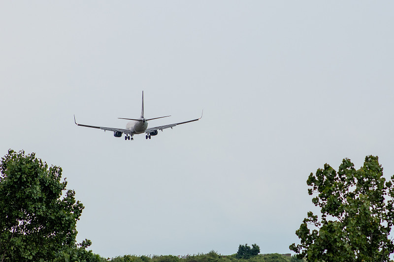 基于中国广州将粮油邮寄到美国辛辛那提