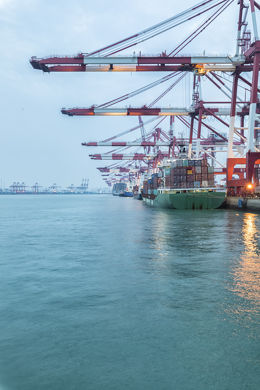 经由中国昆明把多肉植物邮寄到美国巴尔的摩