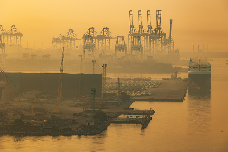 经由杭州把水果邮寄到美国檀香山