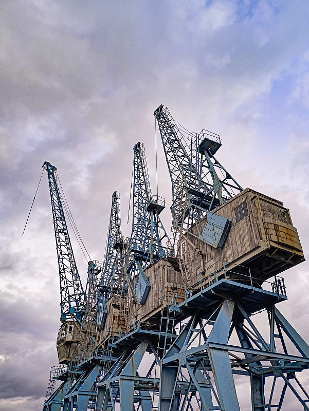 从中国长春把板蓝根邮寄到美国杰克逊维尔