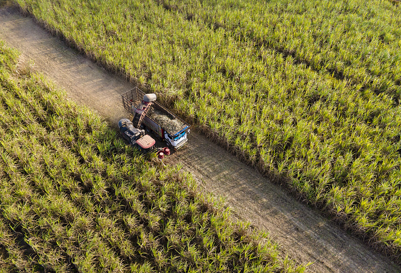 经由中国广州将糖果寄到美国弗吉尼亚海滩