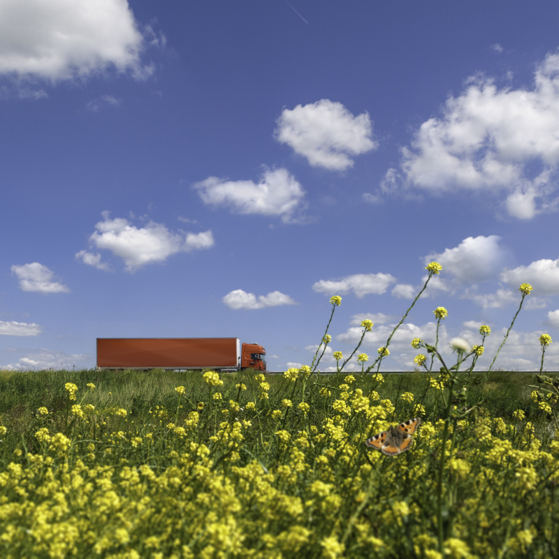 从佛山将服装寄到美国小石城