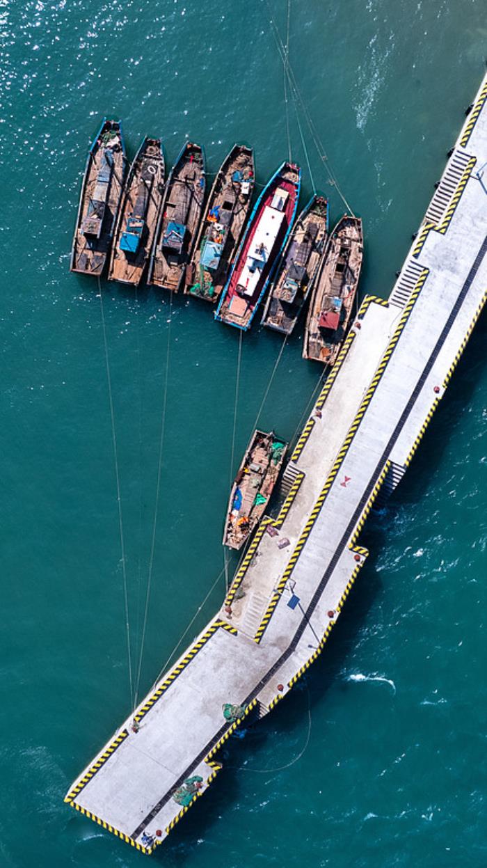 未来发展趋势：青岛国际物流业的新机遇与挑战