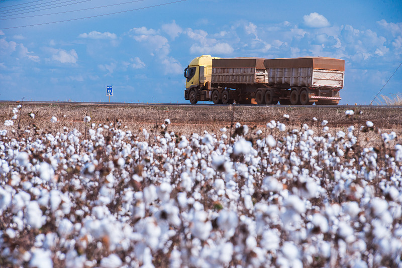 中国昆明越南隆安整柜海运城市专线