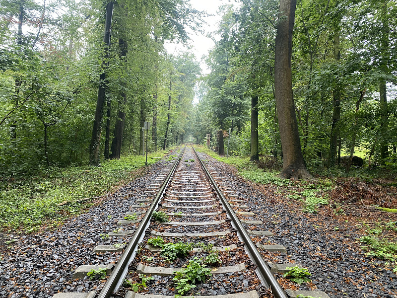 中国深圳至越南岘港送货到家快速专线