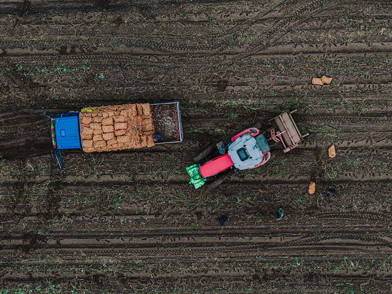 中国西安抵越南奠边整柜海运快速专线