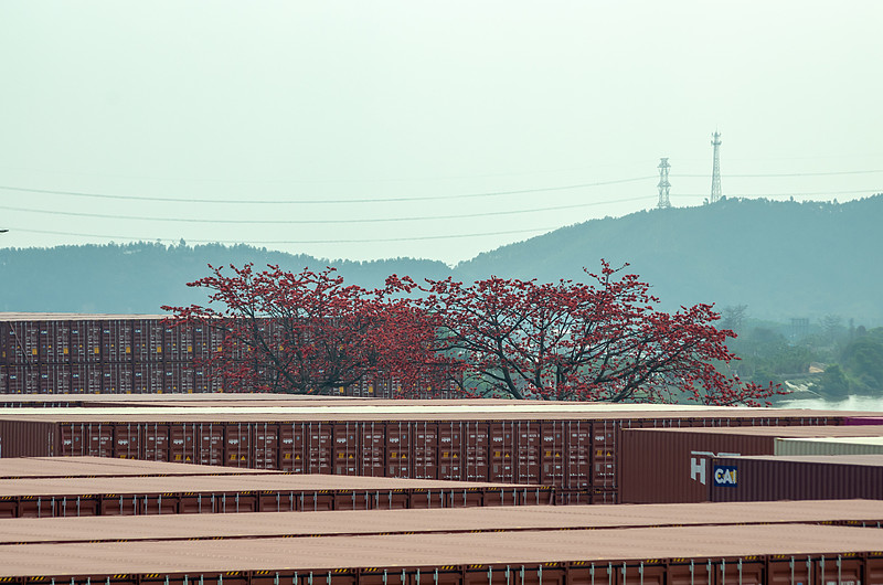 跨境电商卖家会遇到哪些物流难题？