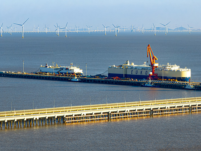 海运货物样品如何申报