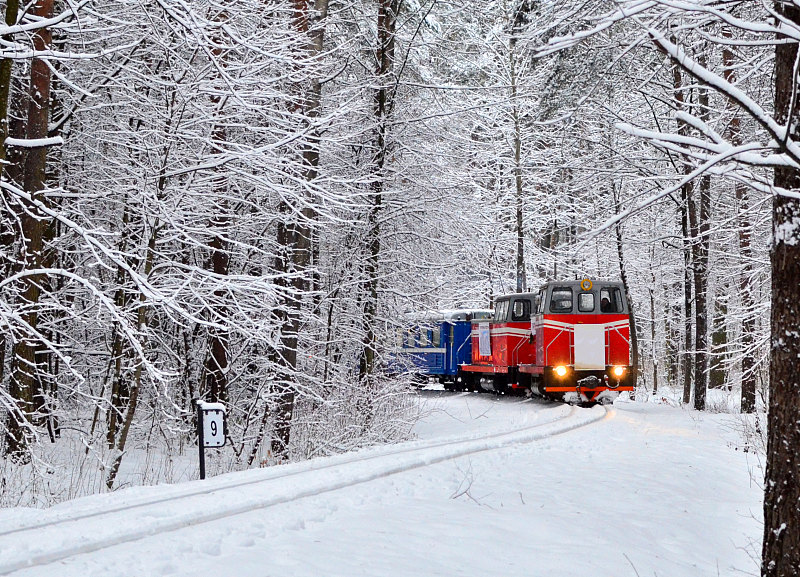 合肥抵越南整柜空运专线