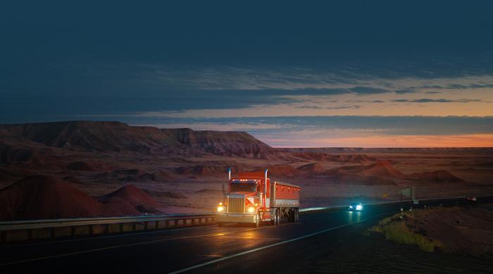 产品植物材料编结品从中国厦门选取货轮送到英国斯劳