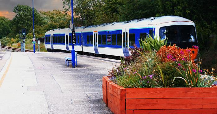 商品生鲜食品从中国常德市选用海上线路送往英国莱斯特