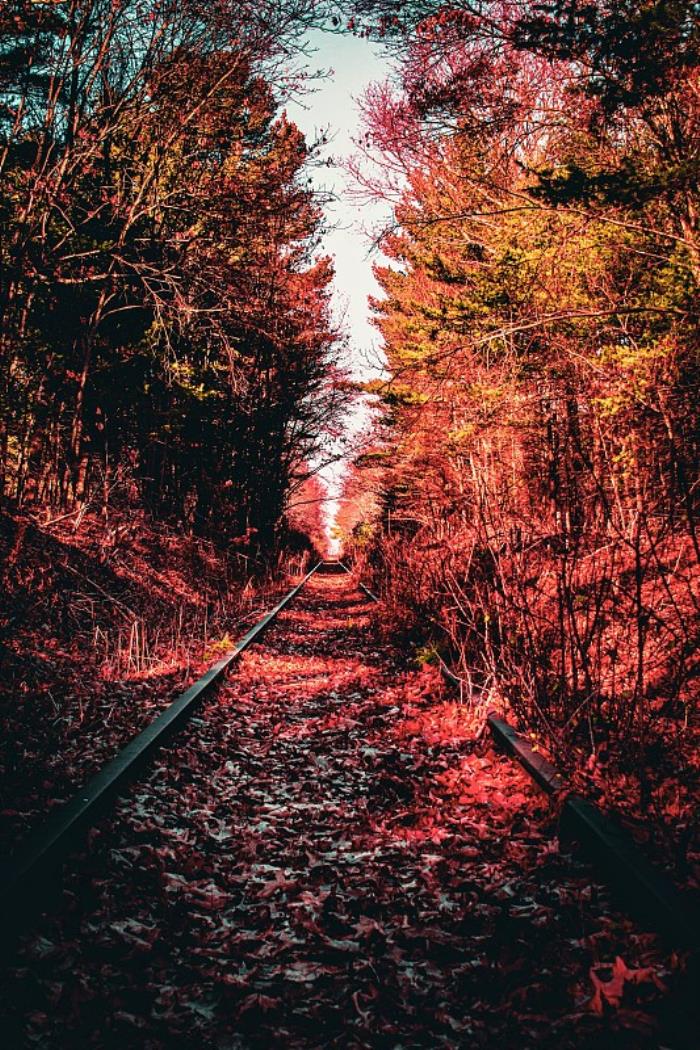 商品日用品从中国临沂市采用航运输送到英国斯温顿 商品日用品从中国临沂市采用航运输送到英国斯温顿