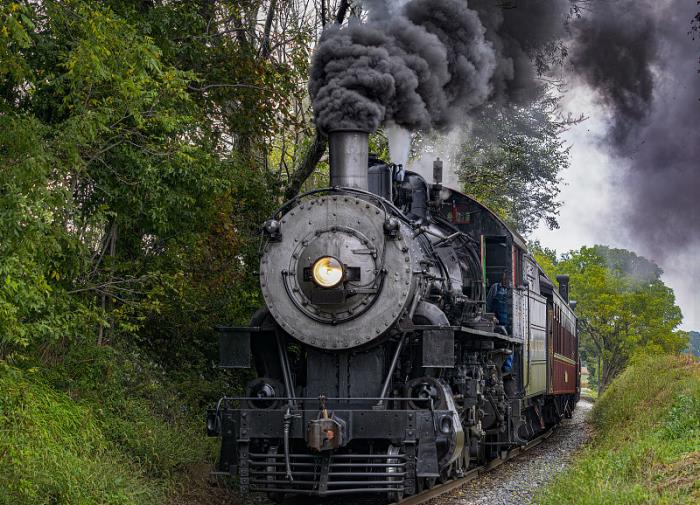 商品喂养用品由中国长沙市启用海上线路驳运到英国斯温顿