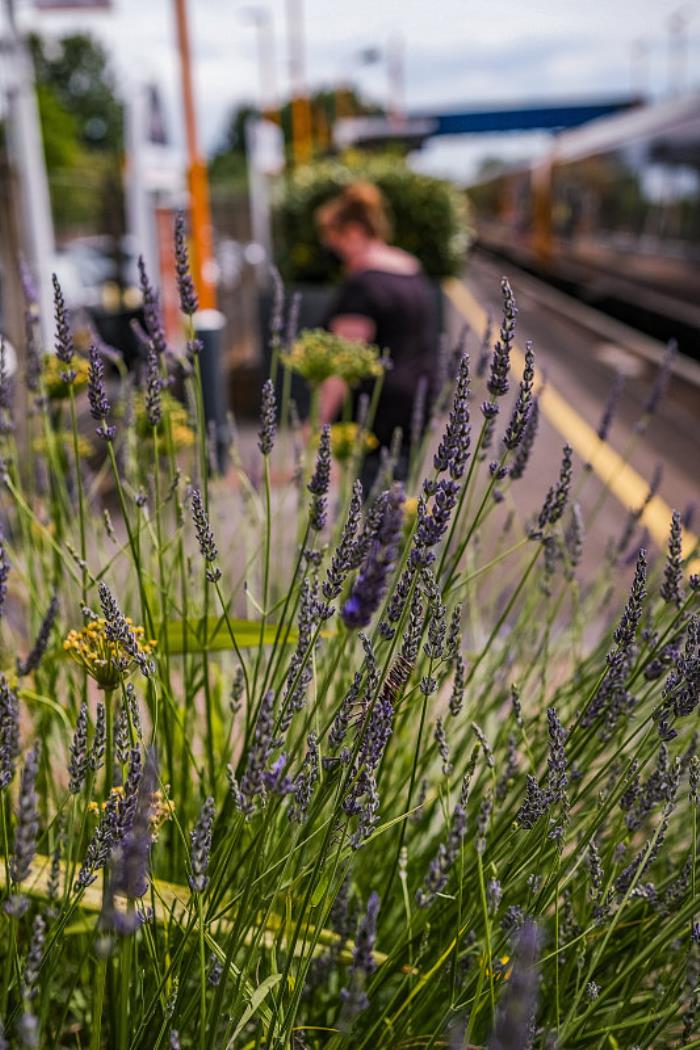 商品家居饰品从中国商丘选用海路运到