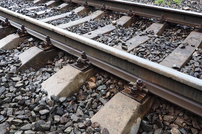 物件生鲜食品从中国长春采取海运航线送往