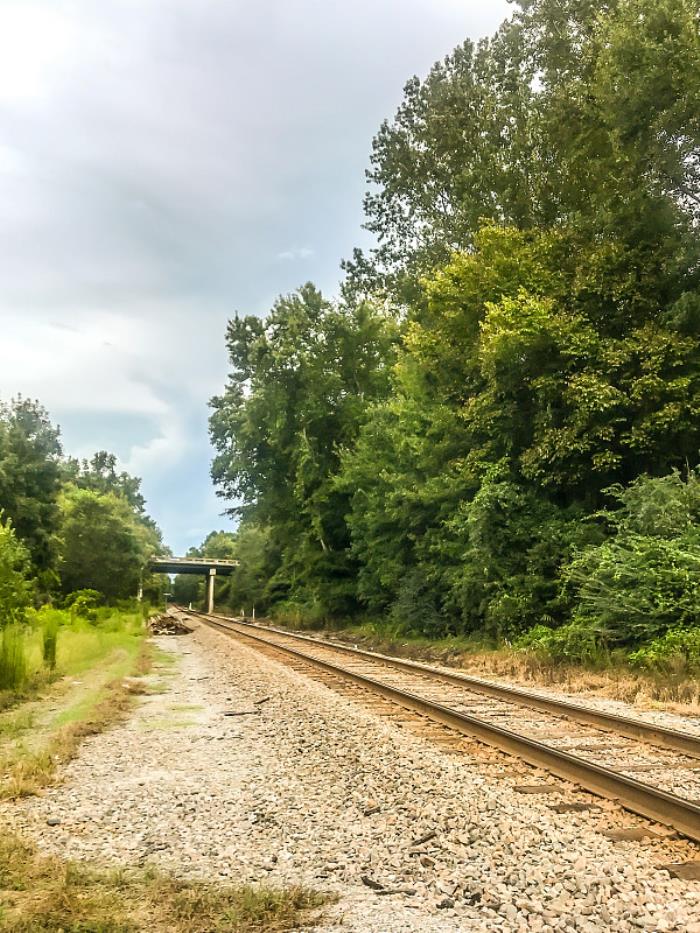 物件汽车摩托由中国惠州启用海运航线快运到