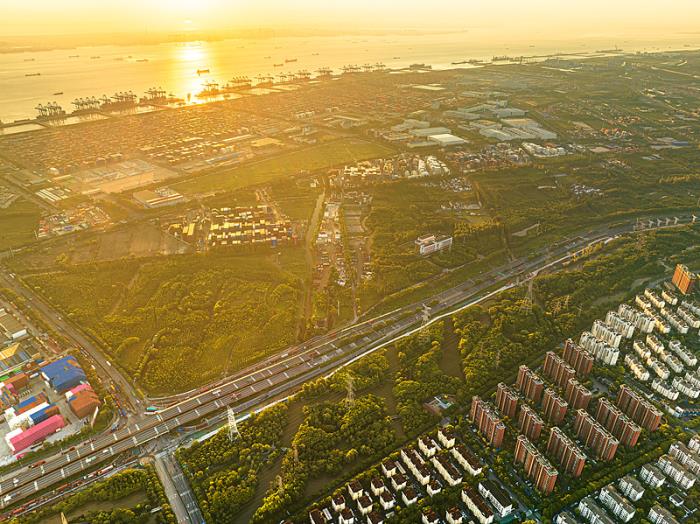 货品蔬菜及食用菌由中国珠海选用海洋轮船抵达到荷兰阿姆斯特丹 货品蔬菜及食用菌由中国珠海选用海洋轮船抵达到荷兰阿姆斯特丹