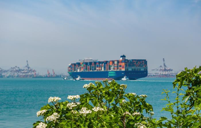 往英国邮寄用什么快递好，多少钱，要多久能到